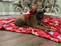 processed/b1d56b0f-8c42-458a-9c9a-5e33f8220a8f/listing/44da9be2-929e-4e58-96d5-444fc224da7e/c8b04a61-e506-4cb7-85e0-7531b9c26aca