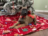 processed/b1d56b0f-8c42-458a-9c9a-5e33f8220a8f/listing/44da9be2-929e-4e58-96d5-444fc224da7e/cde92413-5972-4193-9637-328954550275