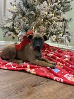 processed/b1d56b0f-8c42-458a-9c9a-5e33f8220a8f/listing/44da9be2-929e-4e58-96d5-444fc224da7e/e7cc7af4-4e64-419a-92b3-018739dd4e98