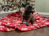 processed/b1d56b0f-8c42-458a-9c9a-5e33f8220a8f/listing/616a28c2-d095-4315-92da-c3cd016e39f5/0f4d7db3-14b4-4246-932b-a6e568dfa1d2