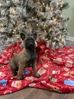 processed/b1d56b0f-8c42-458a-9c9a-5e33f8220a8f/listing/616a28c2-d095-4315-92da-c3cd016e39f5/3007fe65-b4f6-4eff-b322-d3b8bd14aa97