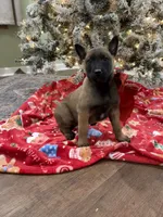 processed/b1d56b0f-8c42-458a-9c9a-5e33f8220a8f/listing/616a28c2-d095-4315-92da-c3cd016e39f5/4a561bc6-b9ba-40fc-96eb-276cdd172d0a