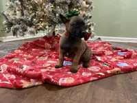 processed/b1d56b0f-8c42-458a-9c9a-5e33f8220a8f/listing/616a28c2-d095-4315-92da-c3cd016e39f5/6d9bcba1-60b3-4f5a-96d8-6bf36a394c68