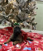 processed/b1d56b0f-8c42-458a-9c9a-5e33f8220a8f/listing/616a28c2-d095-4315-92da-c3cd016e39f5/8fb07630-4f75-4d8f-93d2-3ea4ae4c14ae