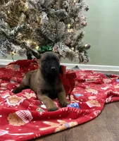 processed/b1d56b0f-8c42-458a-9c9a-5e33f8220a8f/listing/616a28c2-d095-4315-92da-c3cd016e39f5/fa6128db-f3d3-433c-b6da-4df16d6cbc3c