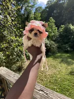 Regina, a female Yorkipoo for sale in Atlanta, GA – 1 of 2