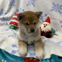 processed/b1e9b52d-6439-4123-ac27-4f1063d12beb/facility/2bb04b1d-f5c2-49f8-8c3c-e1cbb990cd4e