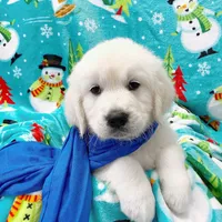 processed/b1e9b52d-6439-4123-ac27-4f1063d12beb/facility/9995872c-6175-45fb-a277-42eb3d136b89