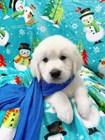 processed/b1e9b52d-6439-4123-ac27-4f1063d12beb/facility/9995872c-6175-45fb-a277-42eb3d136b89