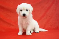 processed/b1e9b52d-6439-4123-ac27-4f1063d12beb/listing/24491058-50f0-4bec-8b05-ae7df6635353/1599f964-8289-40df-af9b-9262d91242f3