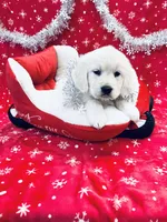 processed/b1e9b52d-6439-4123-ac27-4f1063d12beb/listing/24491058-50f0-4bec-8b05-ae7df6635353/3b4dc0df-d413-40b6-9717-24494aa5e716