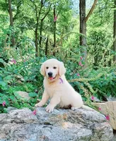 processed/b1e9b52d-6439-4123-ac27-4f1063d12beb/listing/24491058-50f0-4bec-8b05-ae7df6635353/53d1f25b-6df7-47b5-9bb4-4ff731988dd7