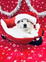 processed/b1e9b52d-6439-4123-ac27-4f1063d12beb/listing/24491058-50f0-4bec-8b05-ae7df6635353/85482521-3019-4bfe-9922-35796df0967b