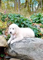 processed/b1e9b52d-6439-4123-ac27-4f1063d12beb/listing/334ef5c0-f14c-4e50-bdeb-47c50d9a8b0e/0b668bf3-c429-42b7-91bf-75959bef78e3