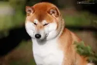 processed/b1e9b52d-6439-4123-ac27-4f1063d12beb/listing/6c314985-a0fa-400c-a923-8262df6f0dae/8548af32-797d-45ed-8887-d49e55309569