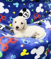 processed/b1e9b52d-6439-4123-ac27-4f1063d12beb/listing/a9de9e51-c2b0-4909-8ccb-6d1d15f5dc44/a7e38b65-b56e-4670-9fa1-f31277021e7a