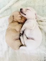 processed/b1e9b52d-6439-4123-ac27-4f1063d12beb/listing/d87a2440-d7cd-4a07-b8ea-467fb5671c90/b6d128b0-91bb-4d43-866d-eb5130f3a867