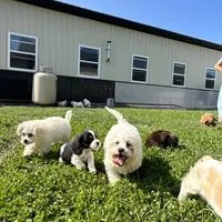 processed/b1f0ea75-443b-4d26-b8ad-4cc68be8fb2f/facility/1a2c8938-b409-4a11-ac39-f66366bb9203