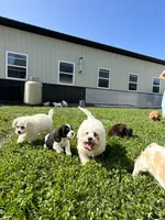 processed/b1f0ea75-443b-4d26-b8ad-4cc68be8fb2f/facility/1a2c8938-b409-4a11-ac39-f66366bb9203