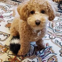 processed/b1f0ea75-443b-4d26-b8ad-4cc68be8fb2f/facility/1ab176e2-6e95-4f30-b1fe-ad751b0a7d68