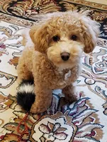 processed/b1f0ea75-443b-4d26-b8ad-4cc68be8fb2f/facility/1ab176e2-6e95-4f30-b1fe-ad751b0a7d68