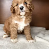 processed/b1f0ea75-443b-4d26-b8ad-4cc68be8fb2f/facility/5b8c34c4-5612-43e5-a57a-9f9cac63bd63