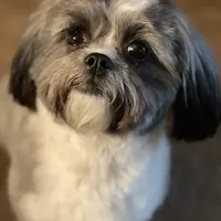 processed/b1f0ea75-443b-4d26-b8ad-4cc68be8fb2f/facility/631f715b-c0c2-4223-bd91-cf2f6c63d190