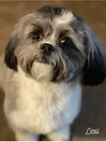 processed/b1f0ea75-443b-4d26-b8ad-4cc68be8fb2f/facility/631f715b-c0c2-4223-bd91-cf2f6c63d190