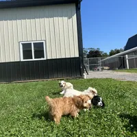 processed/b1f0ea75-443b-4d26-b8ad-4cc68be8fb2f/facility/64f8a3f0-a6fd-46f2-b158-6de8020ad498