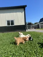 processed/b1f0ea75-443b-4d26-b8ad-4cc68be8fb2f/facility/64f8a3f0-a6fd-46f2-b158-6de8020ad498