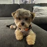 processed/b1f0ea75-443b-4d26-b8ad-4cc68be8fb2f/facility/97a9bac3-d825-444e-80d9-77a8e1ff99d5