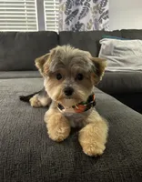 processed/b1f0ea75-443b-4d26-b8ad-4cc68be8fb2f/facility/97a9bac3-d825-444e-80d9-77a8e1ff99d5