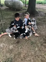 processed/b1f0ea75-443b-4d26-b8ad-4cc68be8fb2f/facility/b0b00d2a-a459-4f52-a44b-b45edb33f4f5