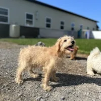 processed/b1f0ea75-443b-4d26-b8ad-4cc68be8fb2f/facility/c47d4a83-c8f3-44d9-924d-38ab0cabe37d