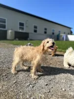 processed/b1f0ea75-443b-4d26-b8ad-4cc68be8fb2f/facility/c47d4a83-c8f3-44d9-924d-38ab0cabe37d