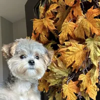 processed/b1f0ea75-443b-4d26-b8ad-4cc68be8fb2f/facility/f6b7beec-026c-47a3-b666-97ab52e71184