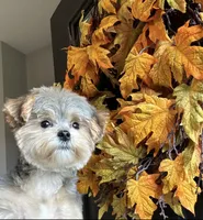 processed/b1f0ea75-443b-4d26-b8ad-4cc68be8fb2f/facility/f6b7beec-026c-47a3-b666-97ab52e71184