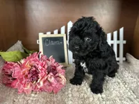 processed/b1f0ea75-443b-4d26-b8ad-4cc68be8fb2f/listing/07e8b2c7-b756-4da6-9e0b-4455fa40873d/72662306-564e-4179-867a-ddb38bb408e8