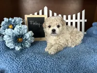 processed/b1f0ea75-443b-4d26-b8ad-4cc68be8fb2f/listing/0d79922d-0271-43c9-9702-86643899c8b9/63ec0b3e-40c3-4e71-8a26-10e753ce4ccc