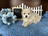 processed/b1f0ea75-443b-4d26-b8ad-4cc68be8fb2f/listing/0d79922d-0271-43c9-9702-86643899c8b9/b54958fc-714c-4d4a-9f9b-289451940ac7