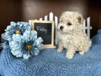 processed/b1f0ea75-443b-4d26-b8ad-4cc68be8fb2f/listing/0d79922d-0271-43c9-9702-86643899c8b9/fddfb79d-2d8b-4598-8231-00459a1baa77