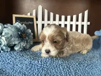 processed/b1f0ea75-443b-4d26-b8ad-4cc68be8fb2f/listing/1245a21d-89ee-4453-b6cf-754ce2bf6825/2f5bc870-5561-4b93-b51c-f0374f2976cb