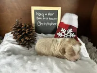 processed/b1f0ea75-443b-4d26-b8ad-4cc68be8fb2f/listing/1245a21d-89ee-4453-b6cf-754ce2bf6825/87f8ead9-39ef-4245-84bb-59ed0e97fbe2