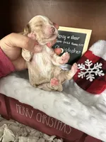 processed/b1f0ea75-443b-4d26-b8ad-4cc68be8fb2f/listing/1245a21d-89ee-4453-b6cf-754ce2bf6825/bf3572f5-a71b-41be-86ac-9a40d3966799