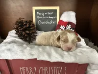 processed/b1f0ea75-443b-4d26-b8ad-4cc68be8fb2f/listing/1245a21d-89ee-4453-b6cf-754ce2bf6825/e840f8ae-cda4-4f03-a566-b8fba3e6e9b3