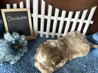 processed/b1f0ea75-443b-4d26-b8ad-4cc68be8fb2f/listing/1245a21d-89ee-4453-b6cf-754ce2bf6825/f1f4f41f-8998-4173-b7bb-e06fc2ddea37