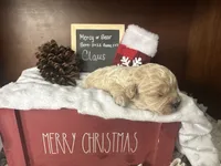 processed/b1f0ea75-443b-4d26-b8ad-4cc68be8fb2f/listing/2a03465a-291c-4a90-a33d-3278357bb652/8dcdf871-f4a0-4c11-ae8c-e5dcd58bf5f4