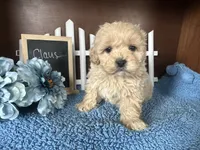 processed/b1f0ea75-443b-4d26-b8ad-4cc68be8fb2f/listing/2a03465a-291c-4a90-a33d-3278357bb652/cbbb0cd1-dedb-4058-8c2d-66968a9c4bb9