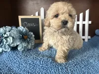 processed/b1f0ea75-443b-4d26-b8ad-4cc68be8fb2f/listing/2a03465a-291c-4a90-a33d-3278357bb652/f41b56aa-96b8-404d-a9fd-30ca851db7fb