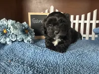 processed/b1f0ea75-443b-4d26-b8ad-4cc68be8fb2f/listing/321c2717-62a0-4fd3-a985-90e73f573d70/6ab665a9-70c2-487b-b918-1398ce9545c9